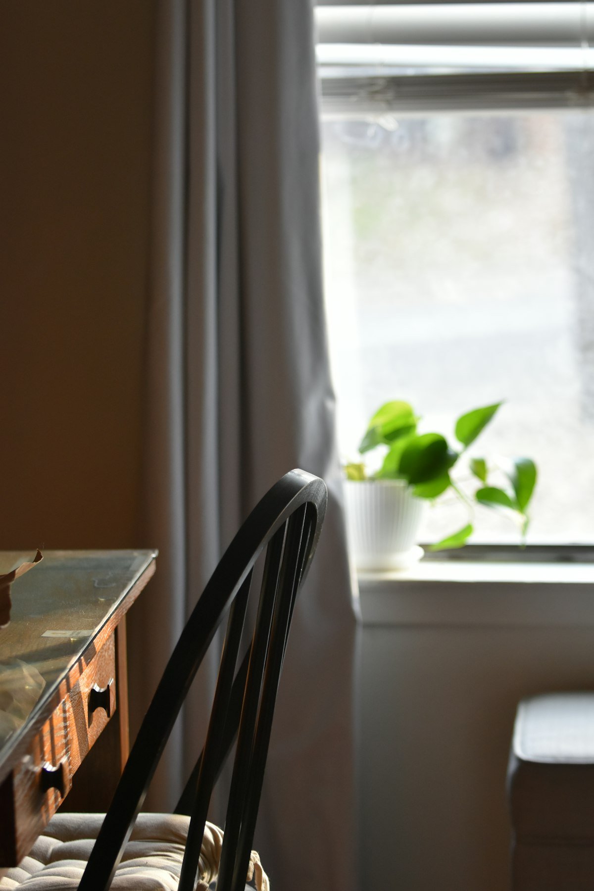 Een stoel bij een raam met een plant in de spreekkamer